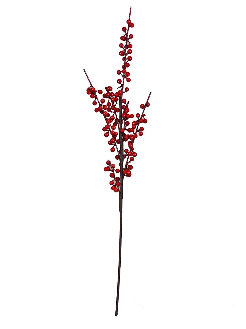 Dedaunan berry-HA3017004-R01