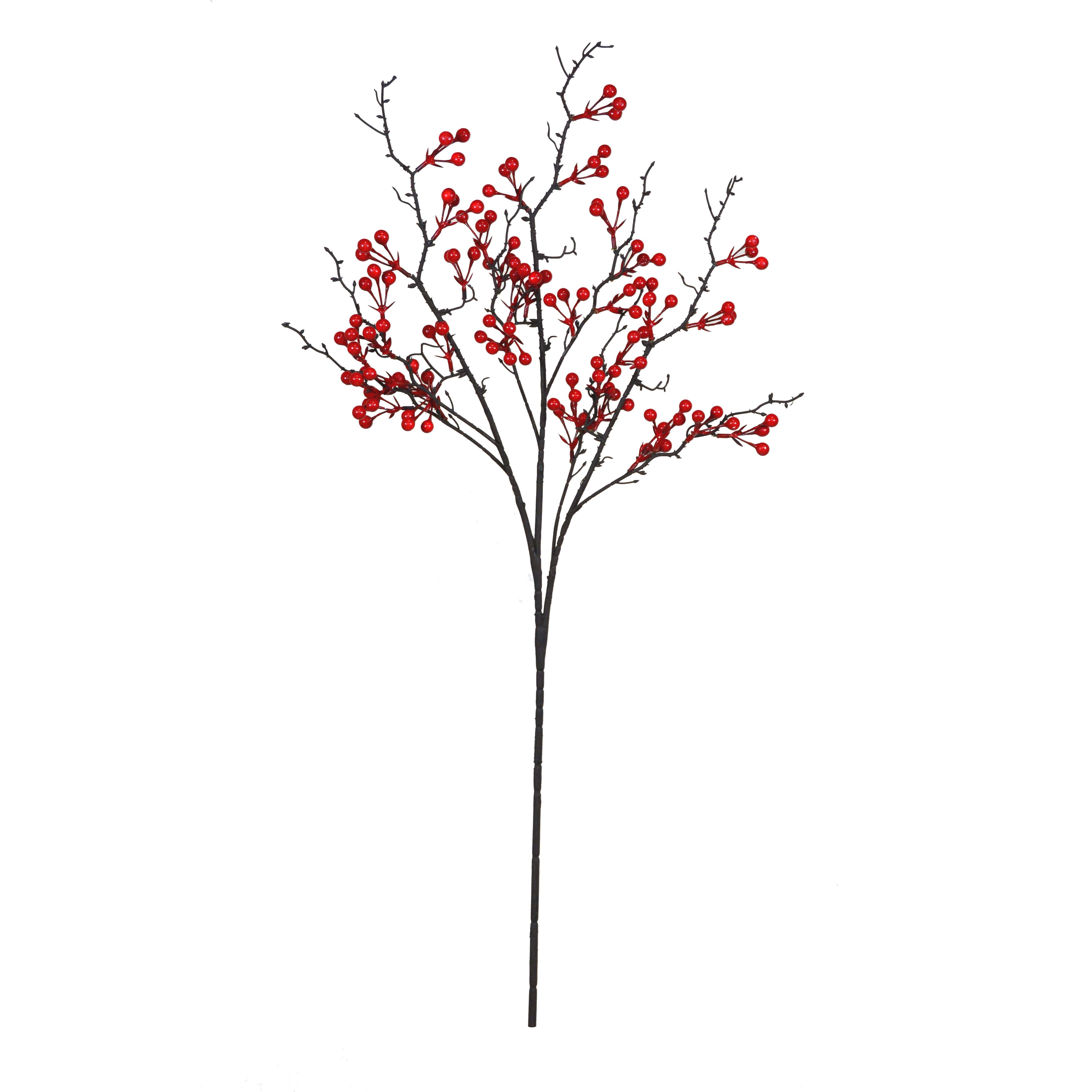 Foliage berry-HA3017006-R01