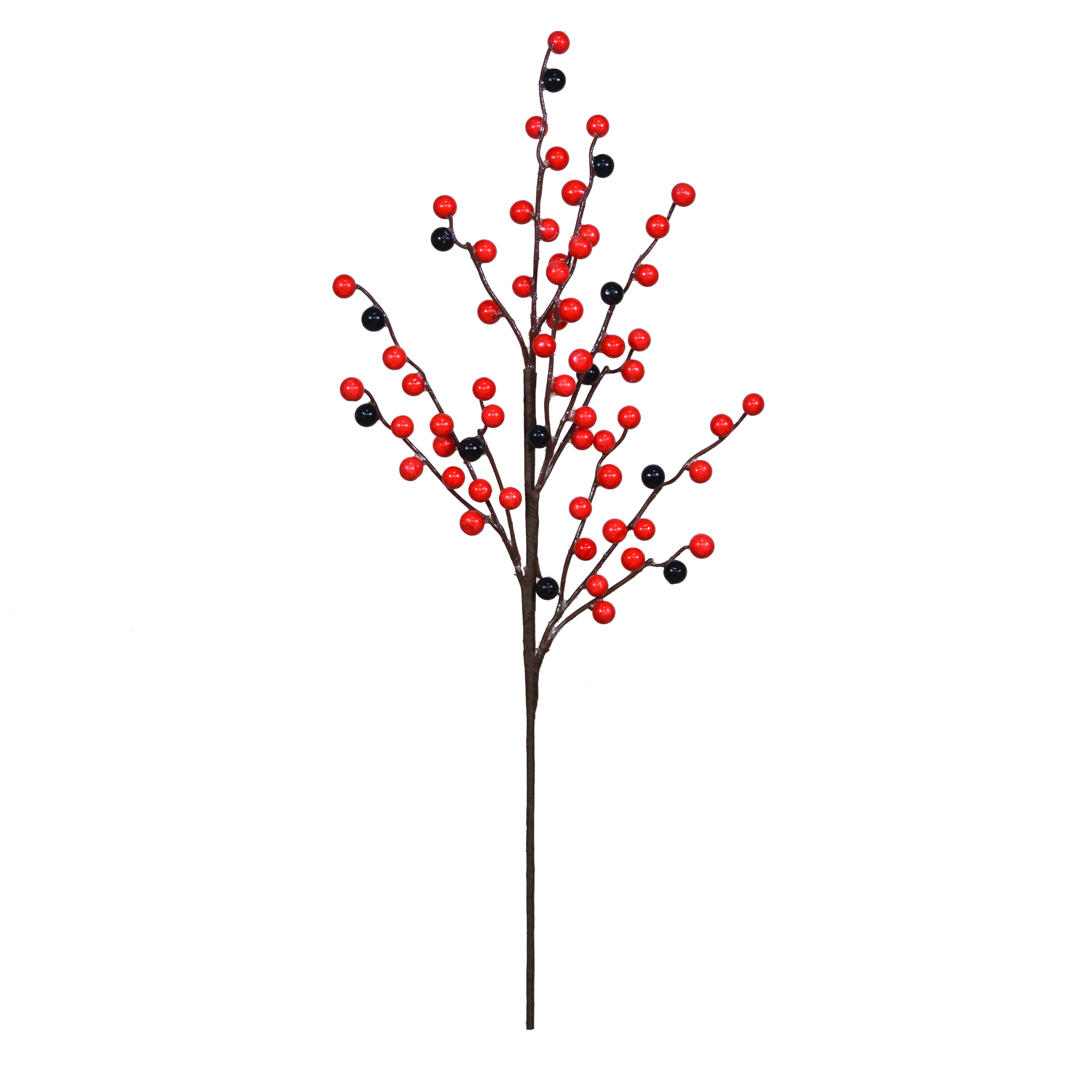 Foliage Berry-HA3017007-R01