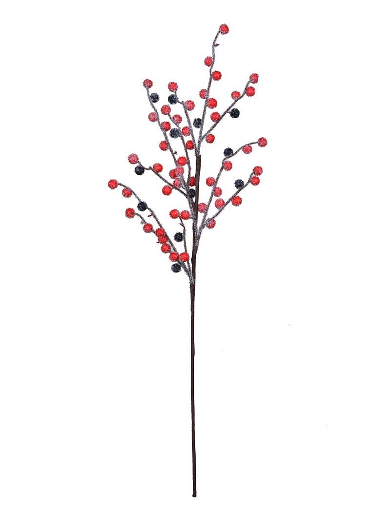 Foliage Berry-HA3017008-R01
