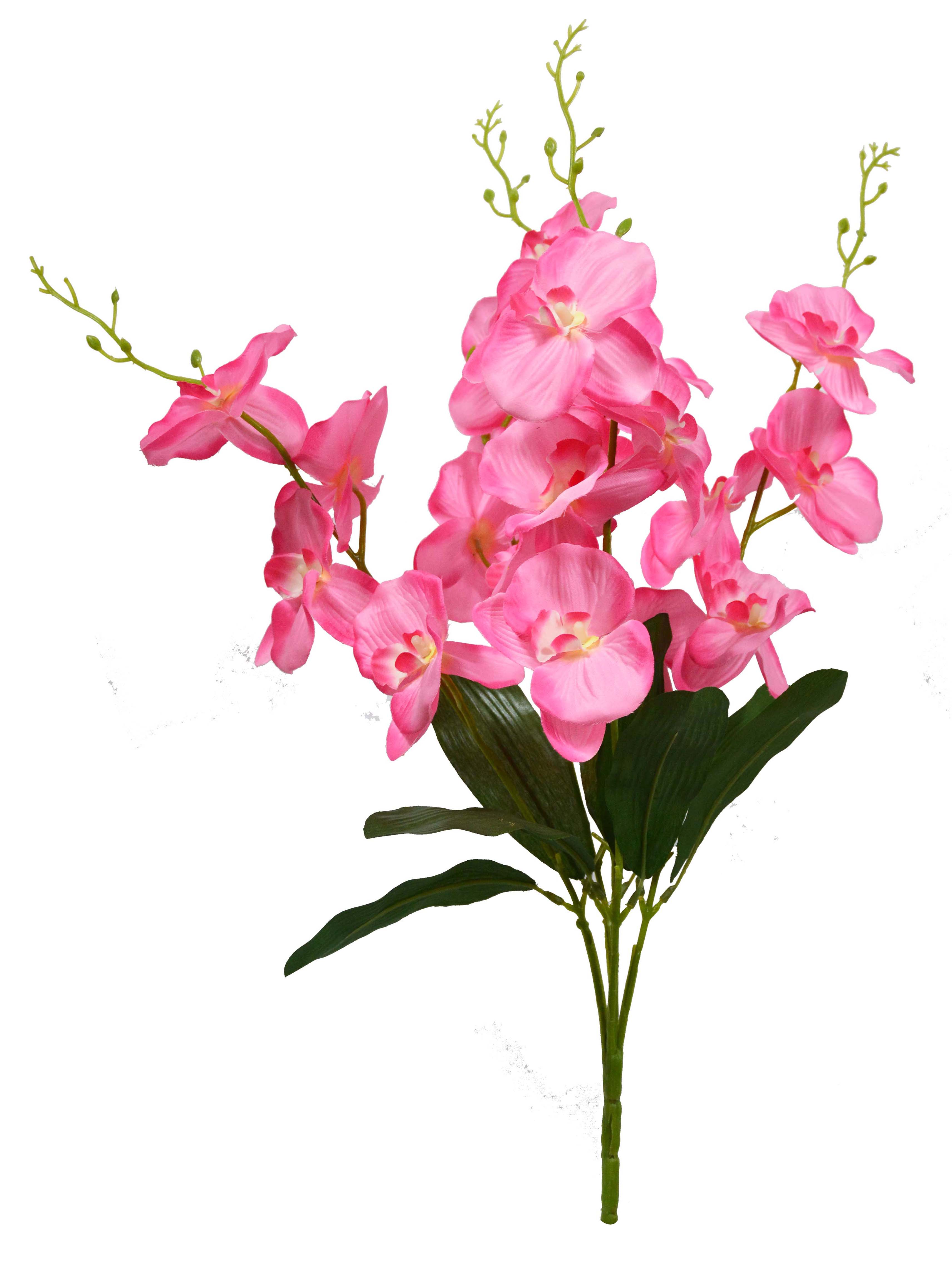 tauriņu orhideju pušķis-YA3017012-P01