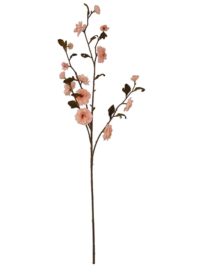 spray de flor de cereixa-LU3017010-P01