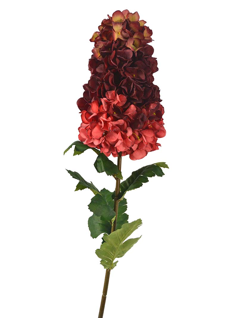 stabljika hortenzije-LU3017002-L01