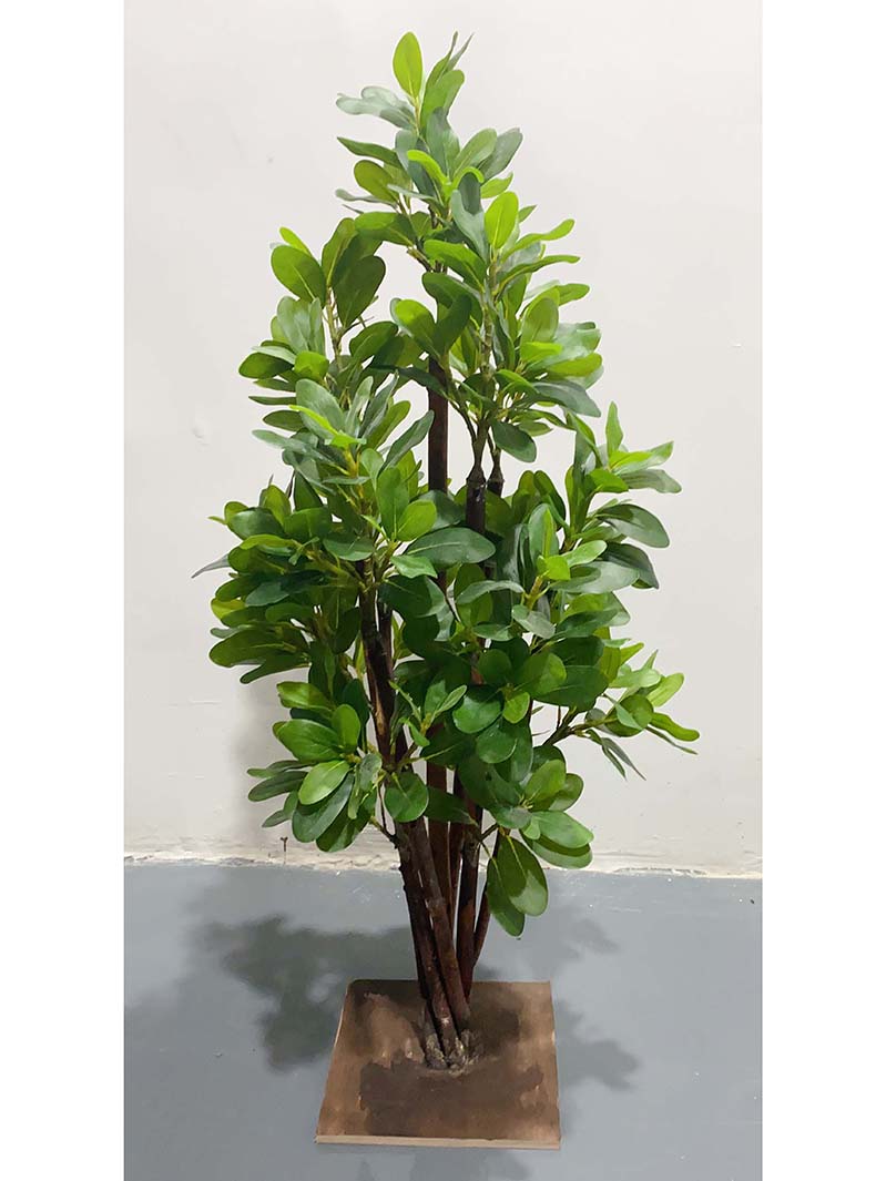 အခြားသစ်ပင်-XY5230309