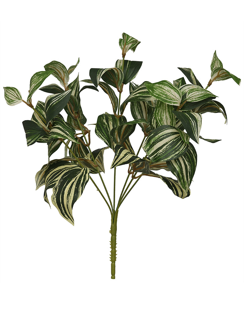 buisson végétal-WA2210011-G01