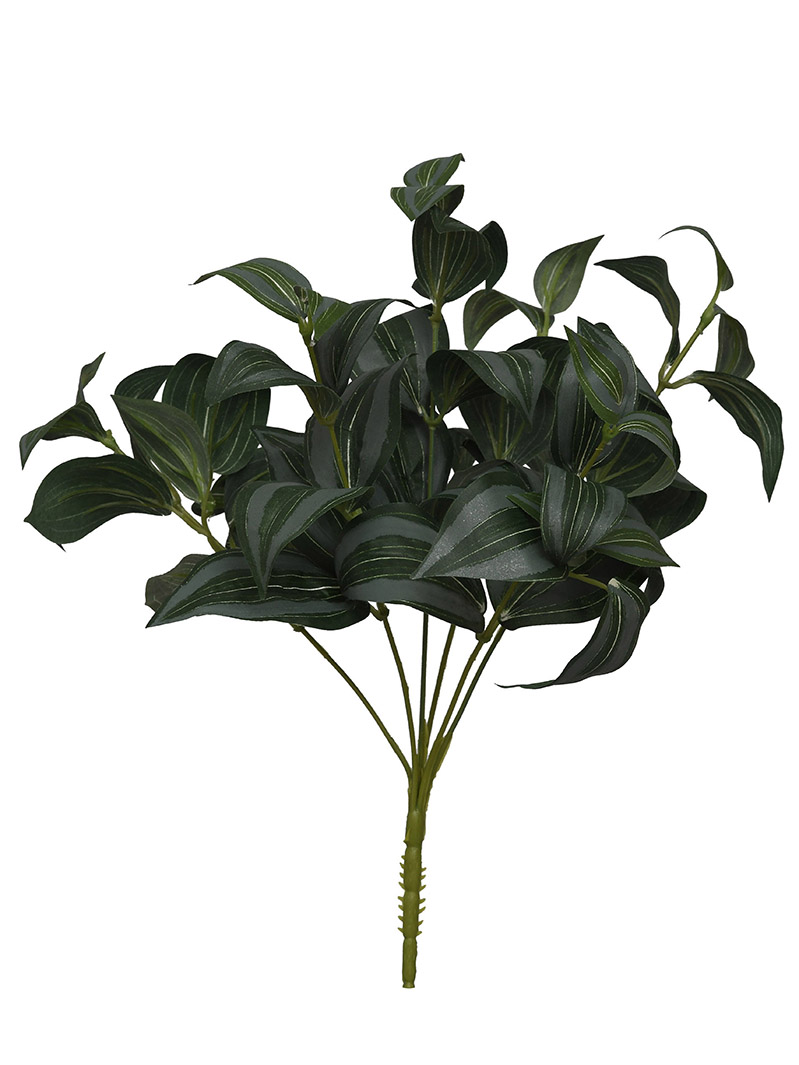 arbusto de planta-WA2210011-G02