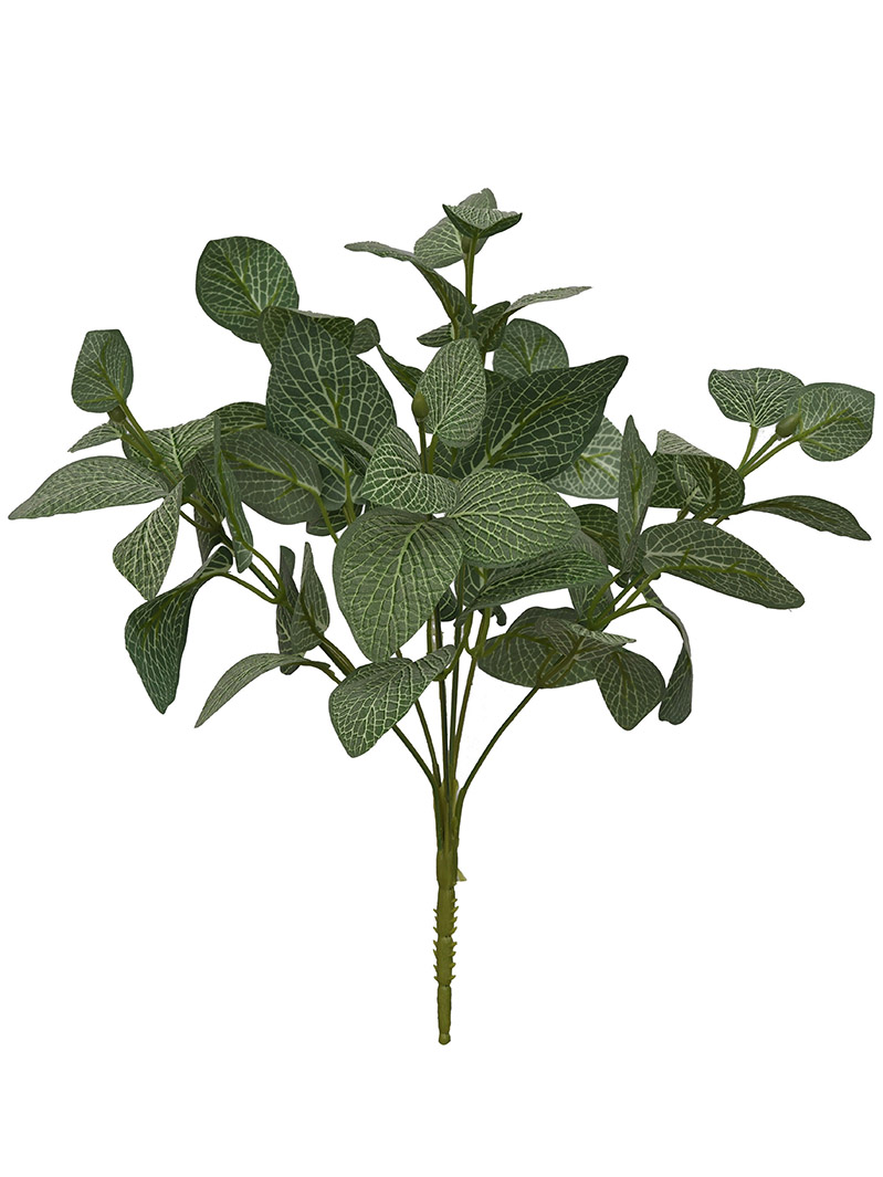 plant bush-WA2210015-G01