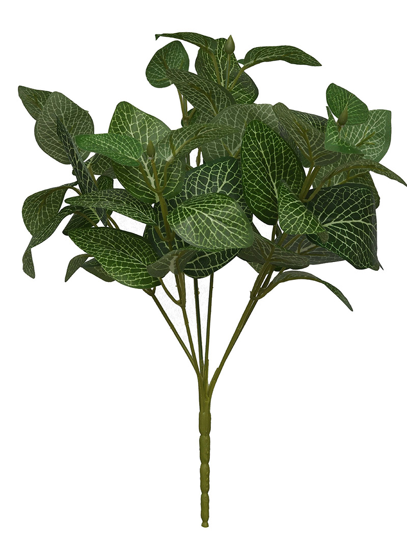 arbusto de planta-WA2210015-G02