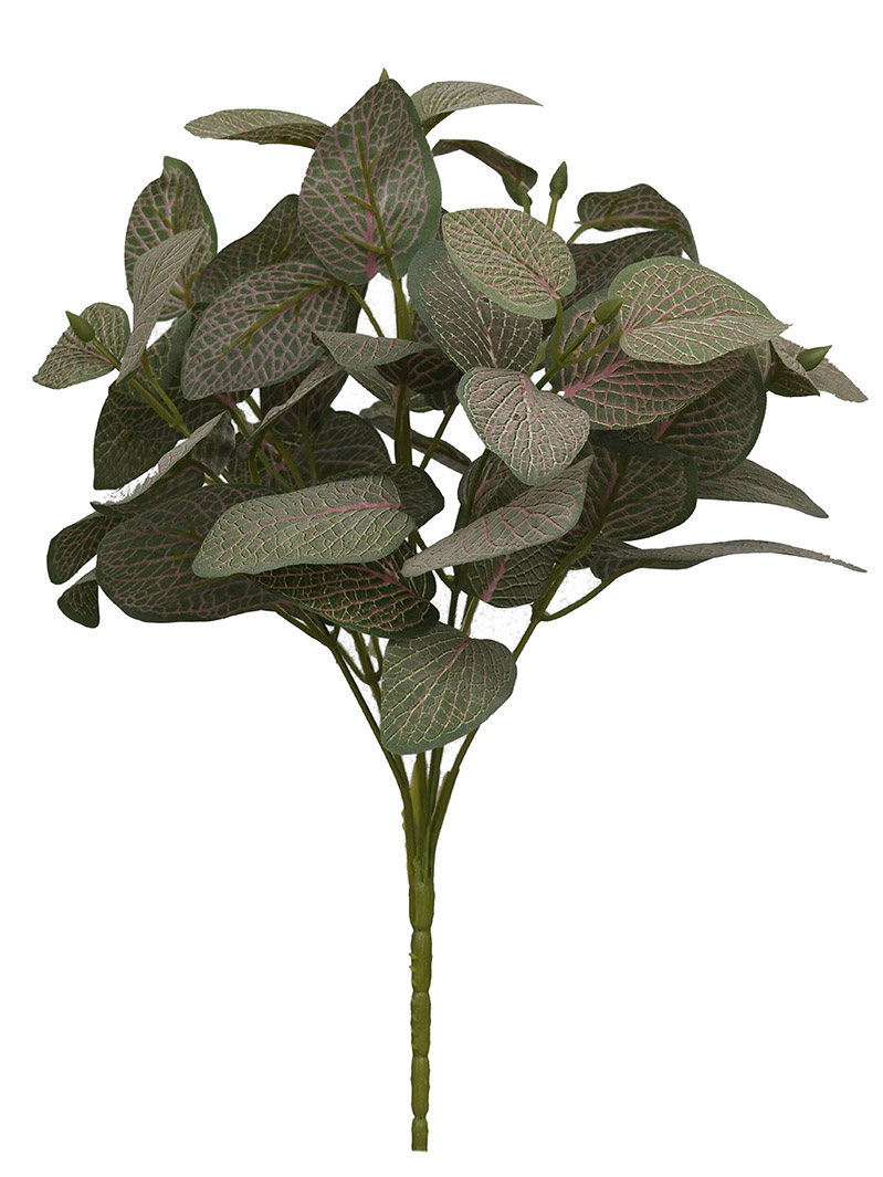 arbusto de planta-WA2210015-G03