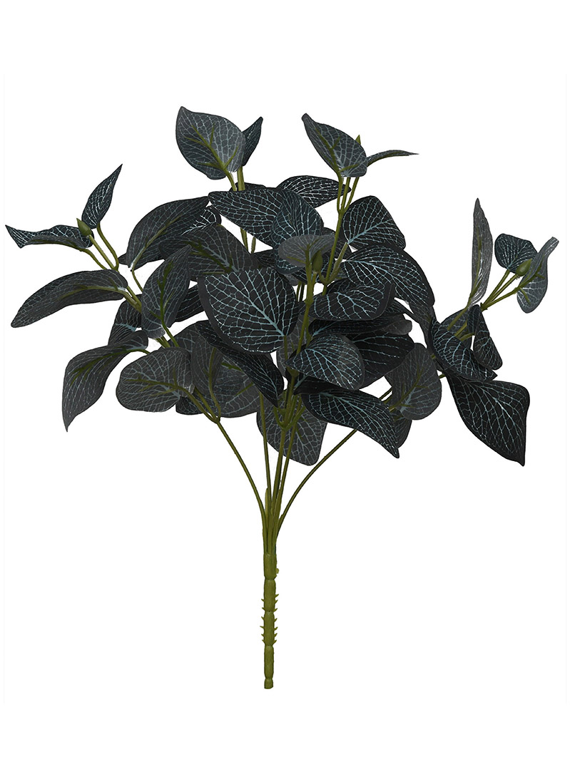 plant bush-WA2210015-G04