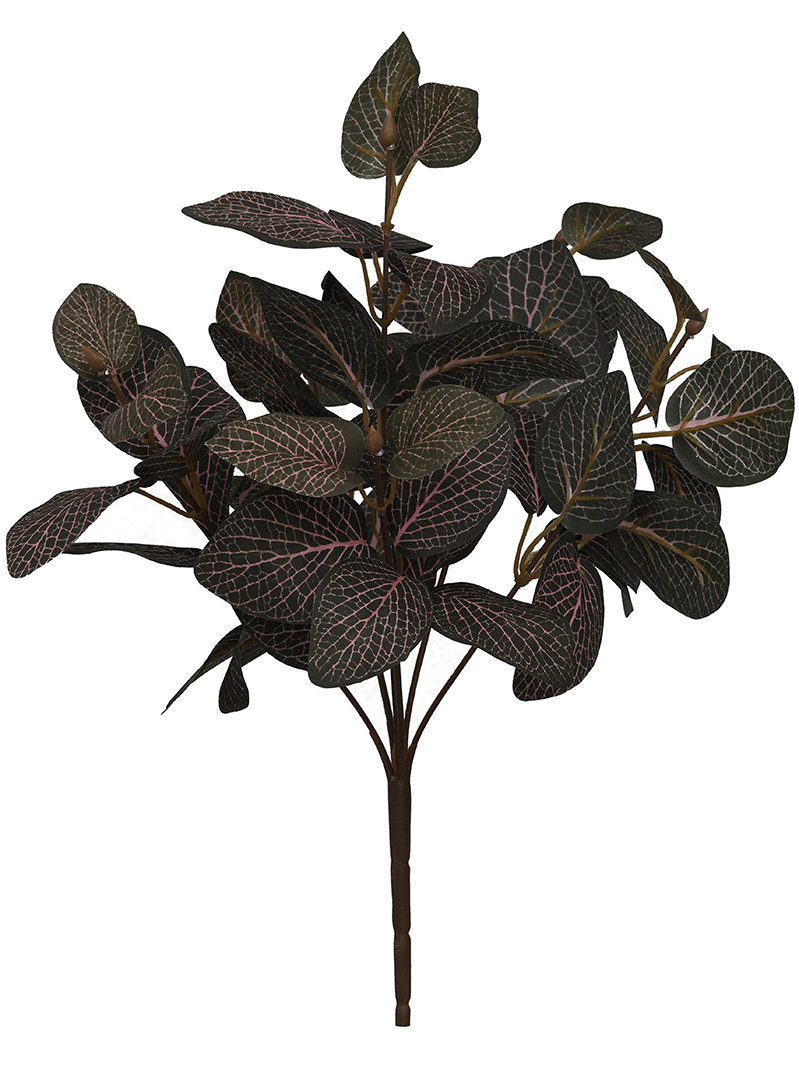 augalo krūmas-WA2210015-G05