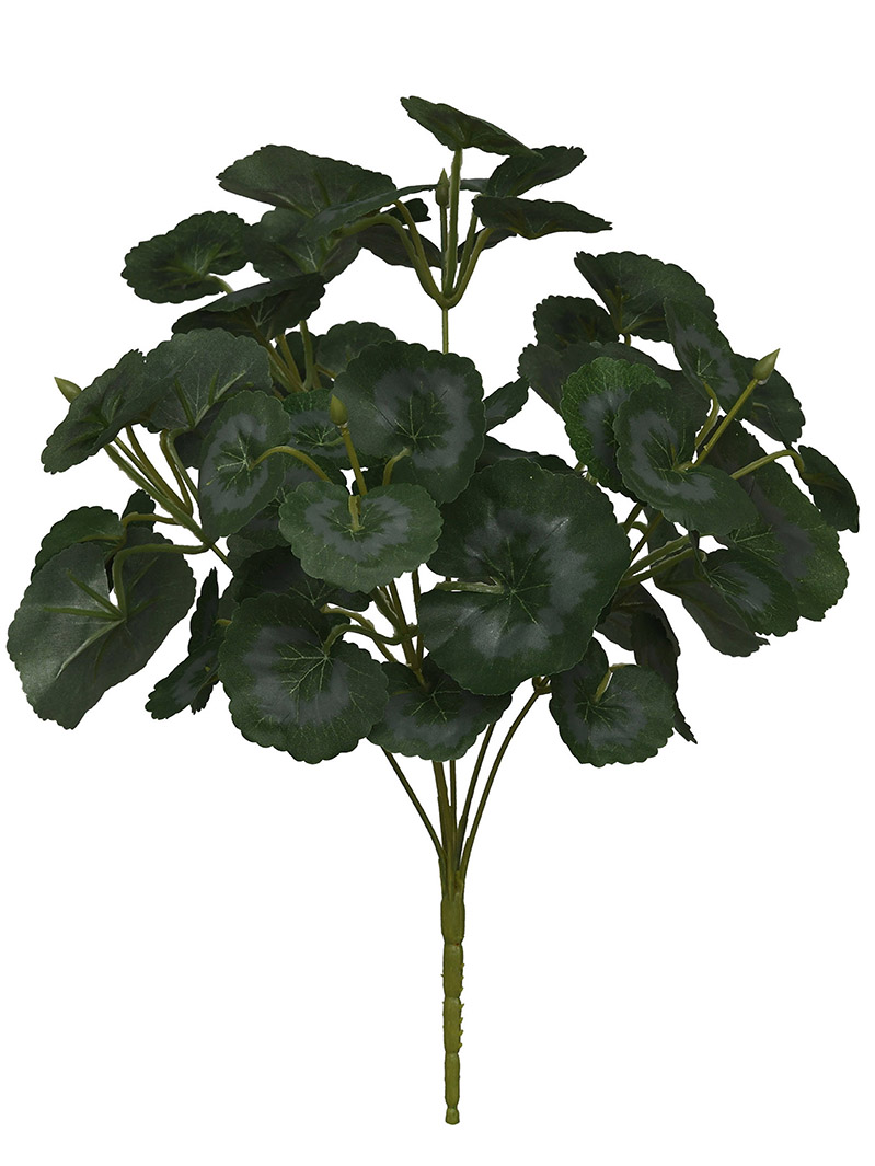 plant bush-WA2210018-G01