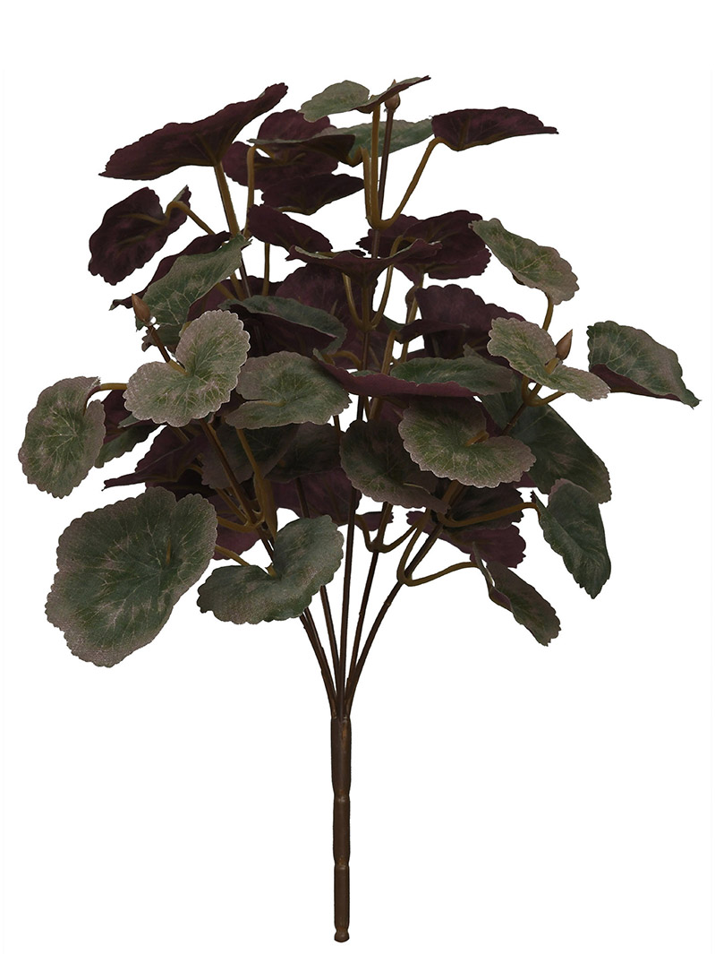 buisson végétal-WA2210018-G02