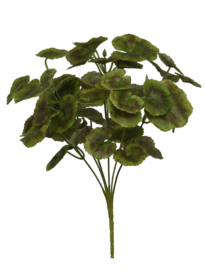 მცენარის ბუჩქი-WA2210018-G04