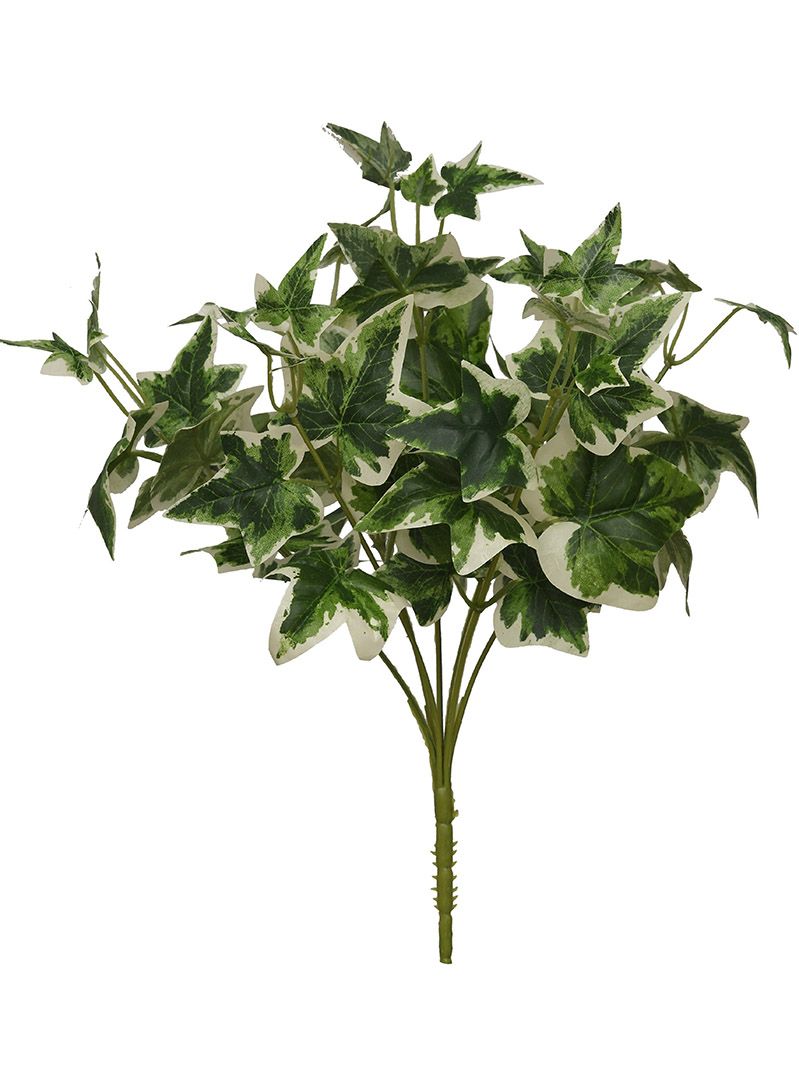 arbust vegetal-WA2210022-G02