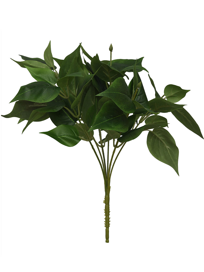 plant bush-WA2210032-J01
