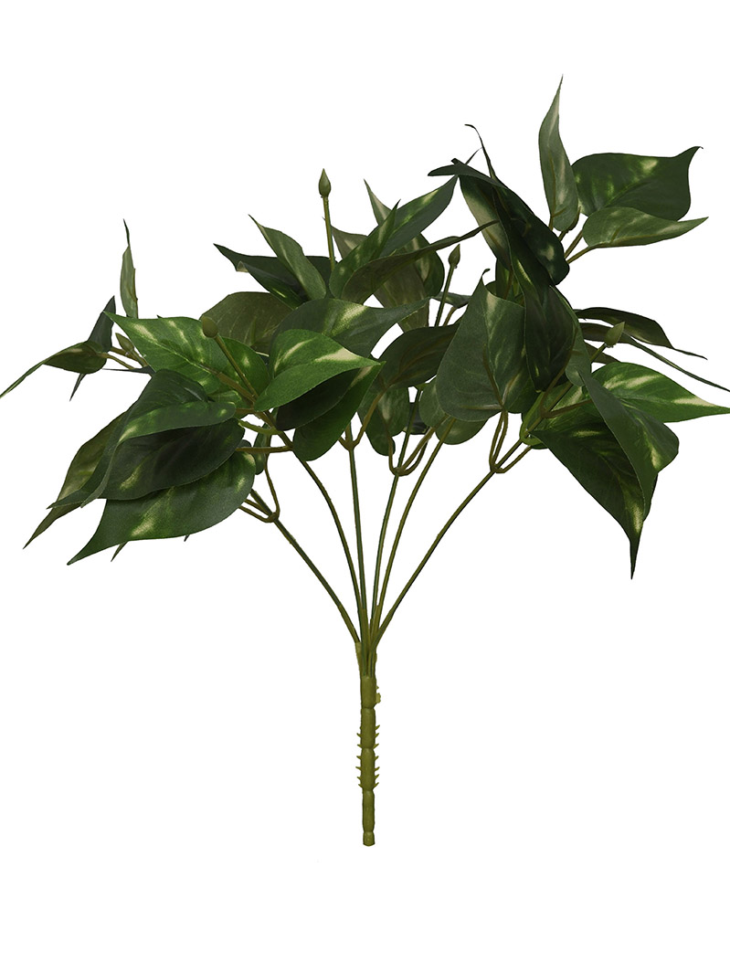 plant bush-WA2210032-J02