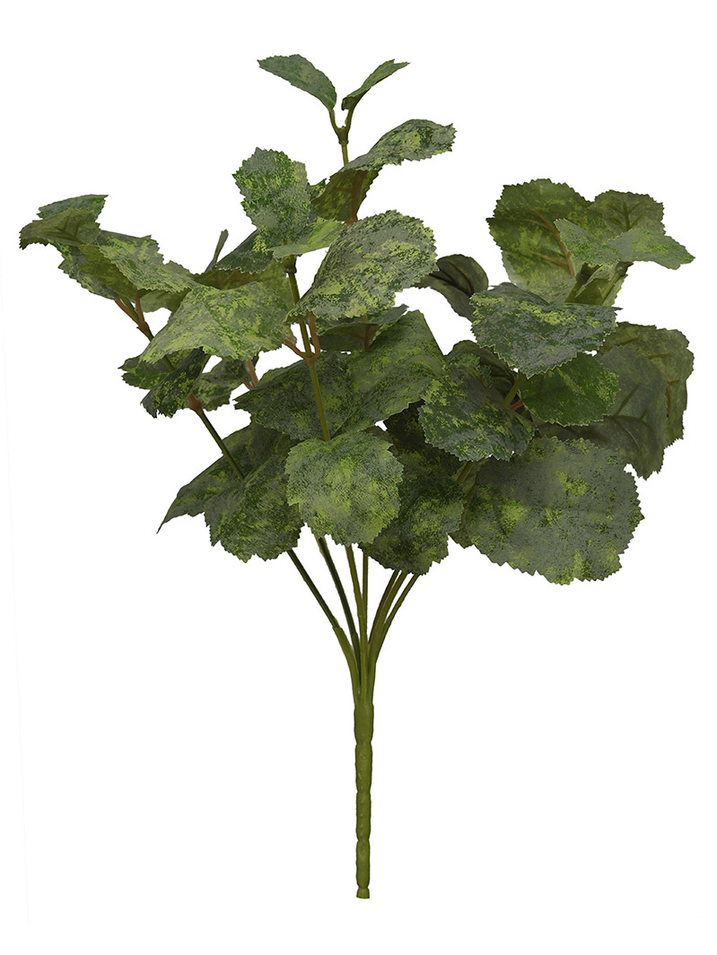 arbusto de planta-WA2210036-J01