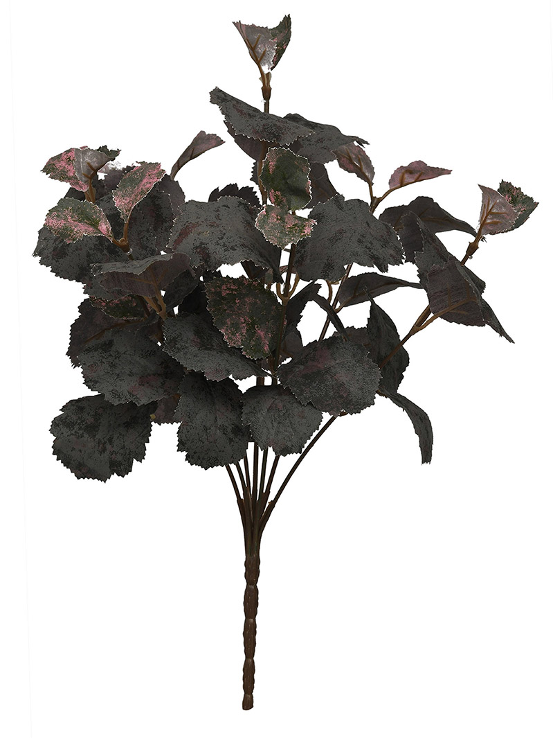 plant bush-WA2210036-J02