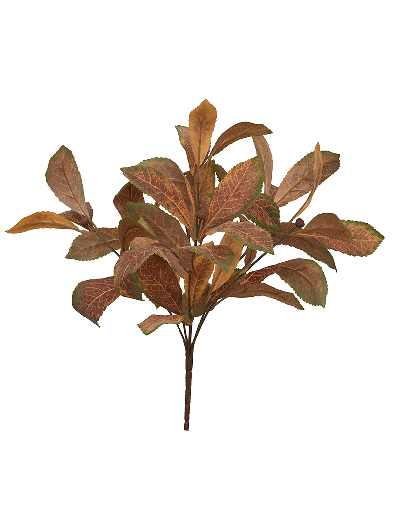 plant bush-WA2210038-F01