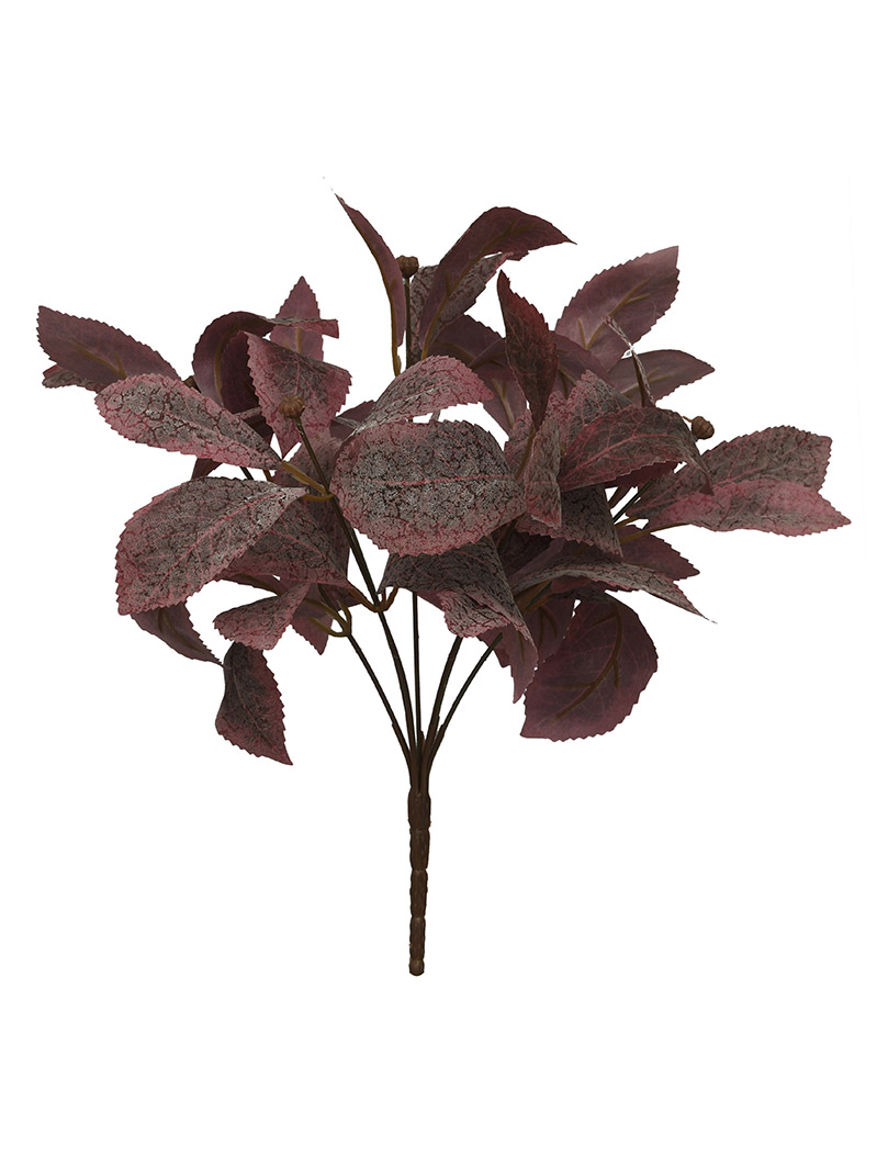 arbusto de planta-WA2210038-G01
