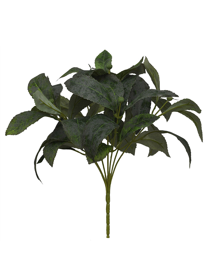 plant bush-WA2210038-J01
