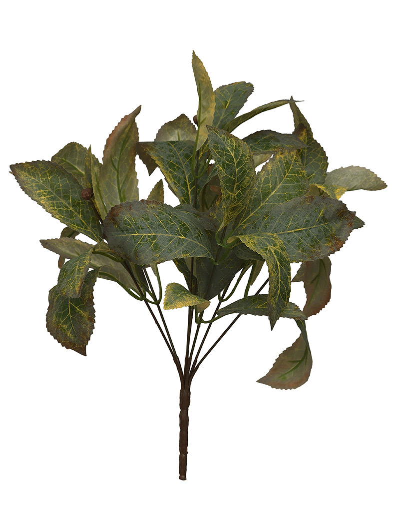 arbusto de planta-WA2210038-J02