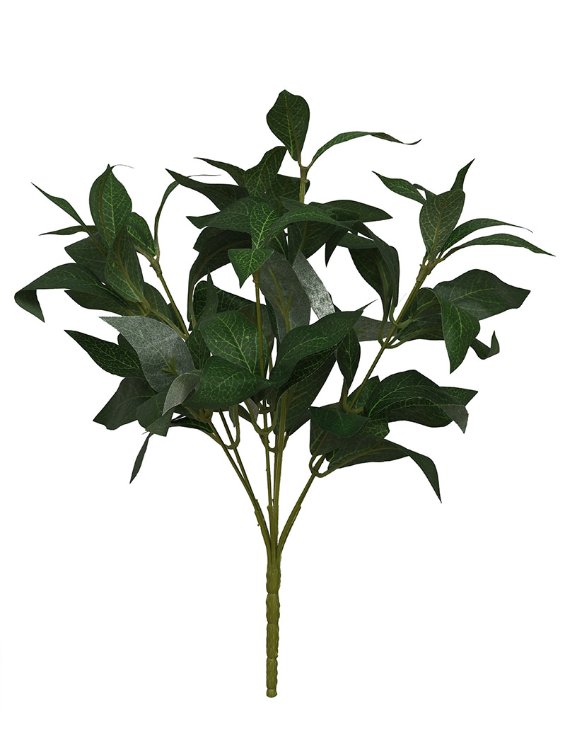 arbusto de planta-WA2210040-J01