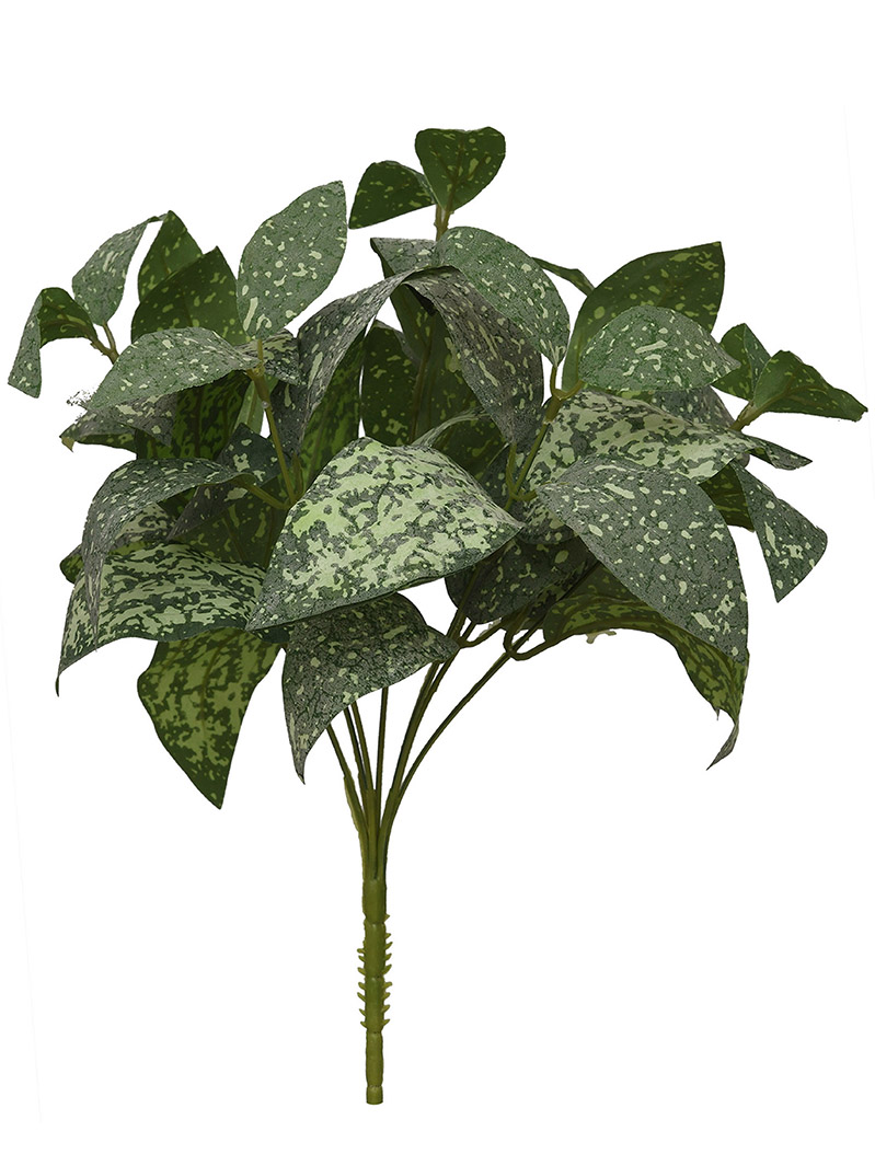 arbusto de planta-WA2210041-J01