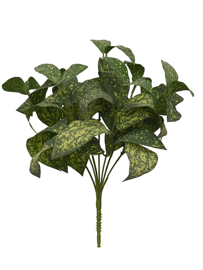 arbusto de planta-WA2210041-J02