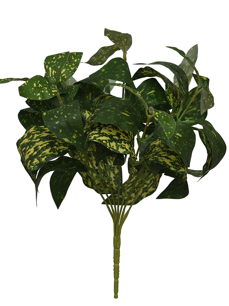 arbusto de planta-WA2210041-J03