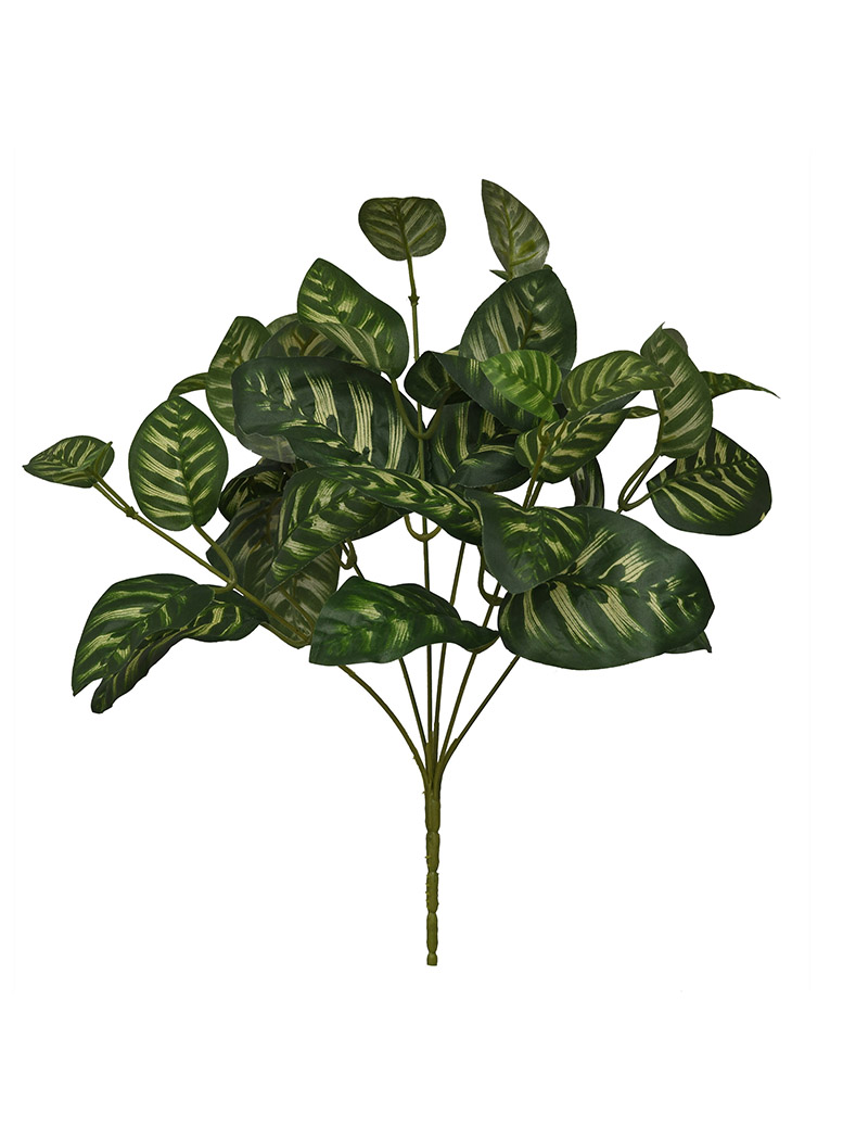 arbusto de planta-WA2210042-J01