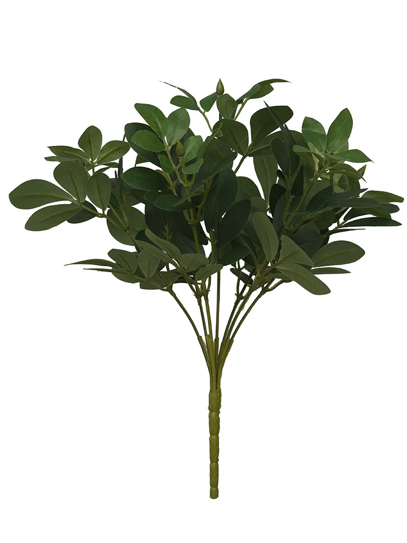 arbusto de planta-WA2210046-J01