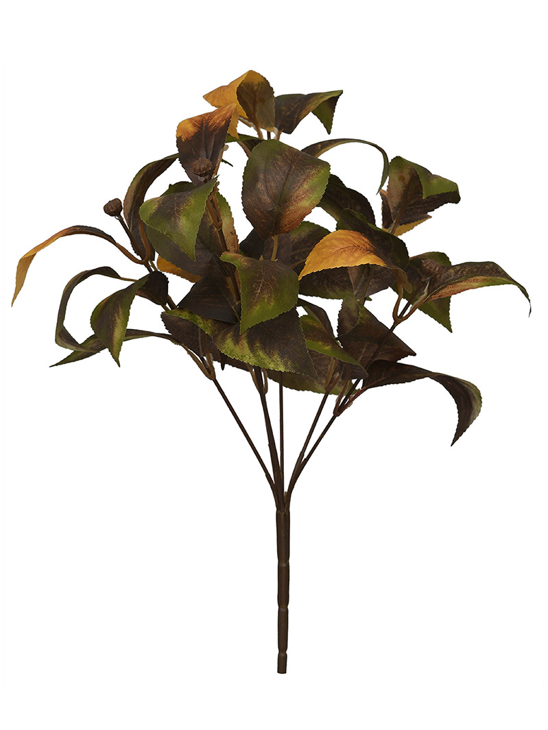 arbusto de planta-WA2210054-J01