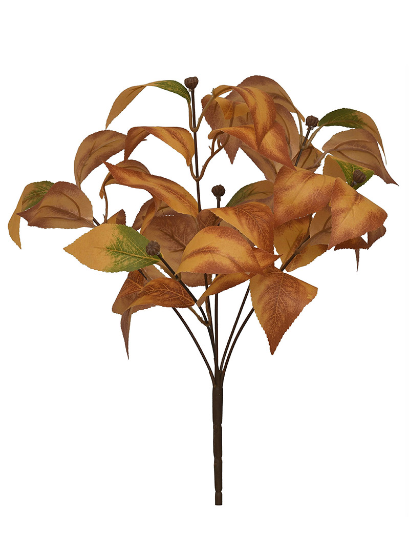 arbusto de planta-WA2210054-L01