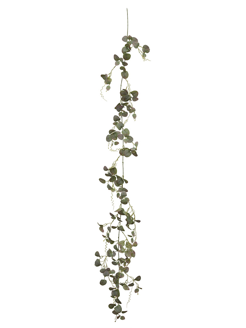 ургамлын зүүлт-WA2210006-G02