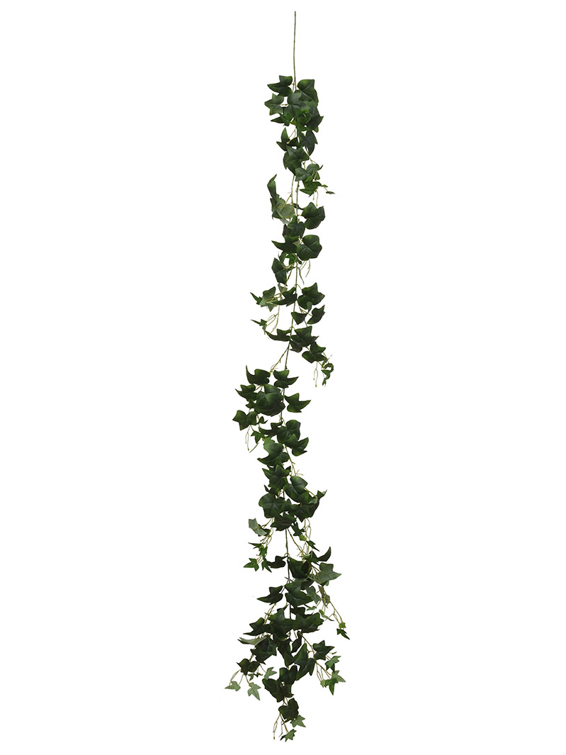 植物ガーランド-WA2210028-G01