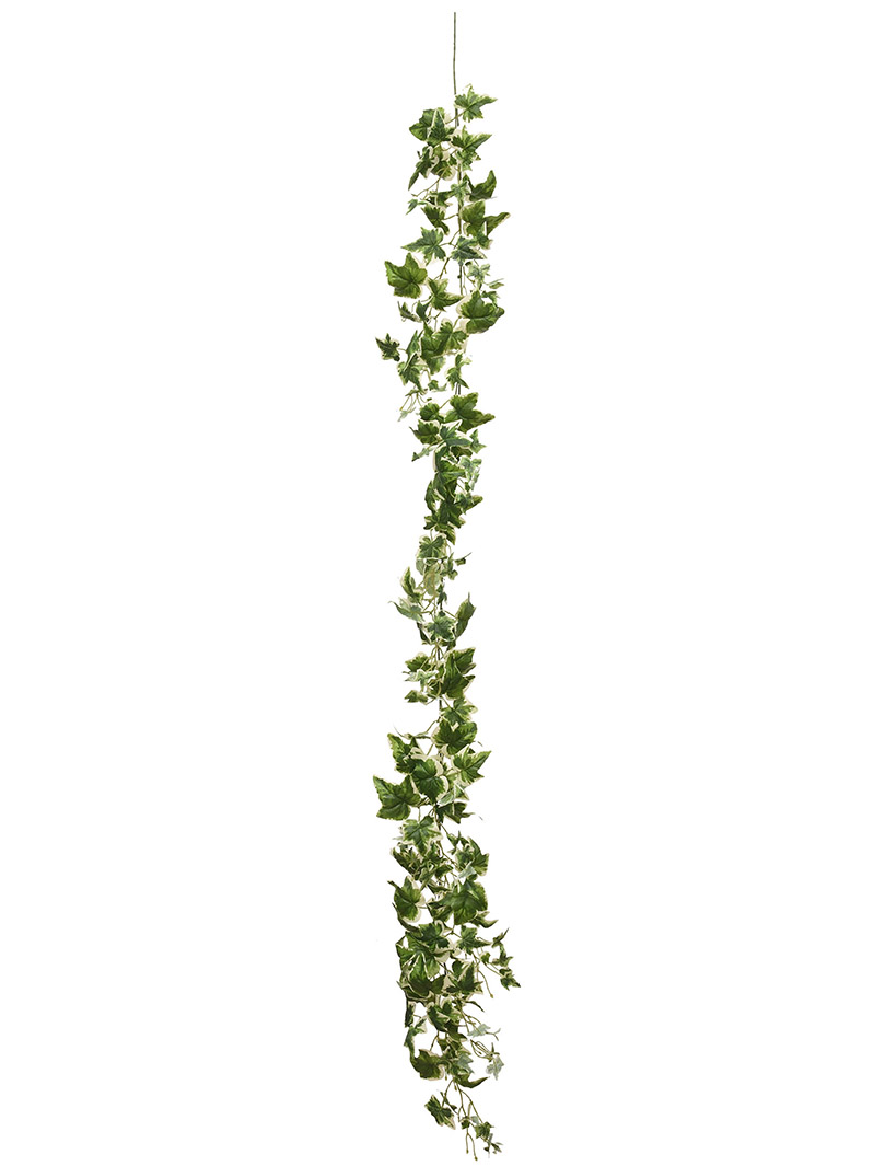 planta garland-WA2210028-G02