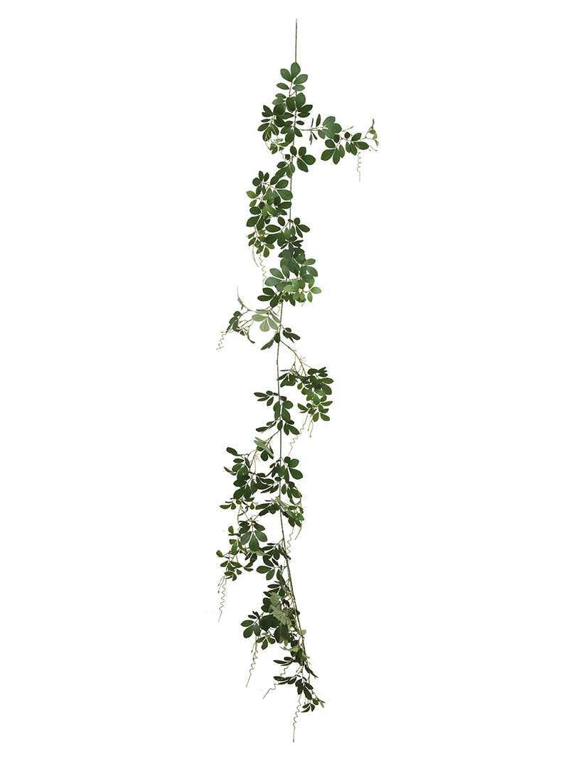 bitki çelengi-WA2210048-J01