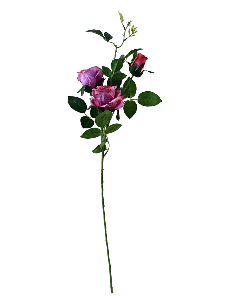 गुलाब स्प्रे-BA3017003-P03