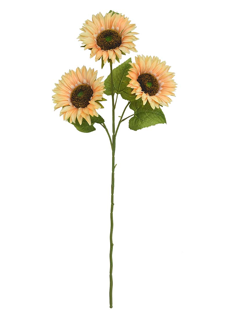 सूर्यफूल स्प्रे-ZU3017006-P01