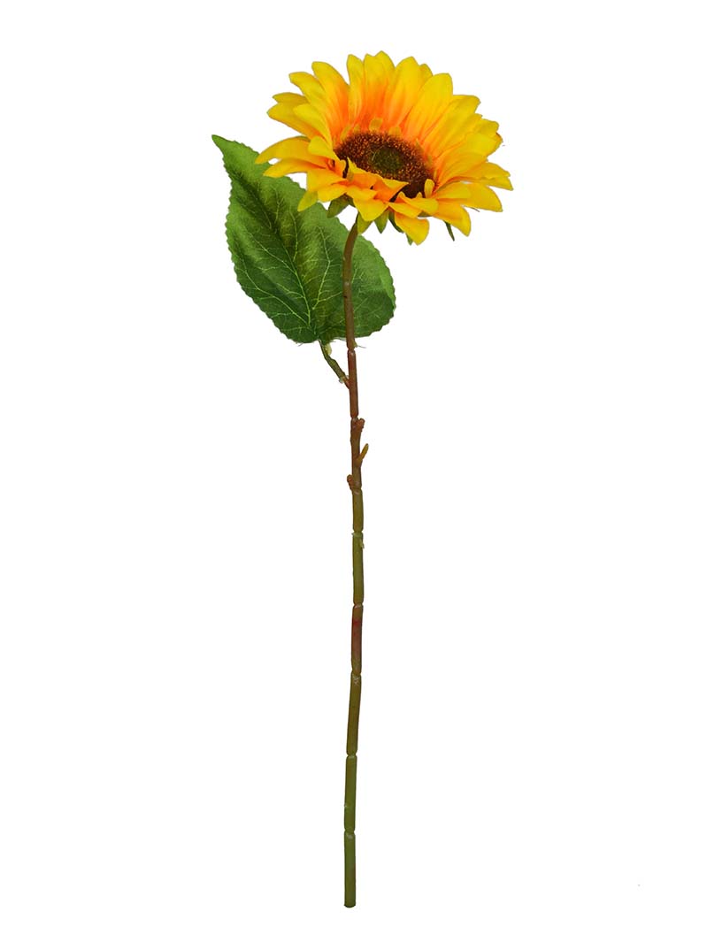 sunflower stem-NA3017002-Y01